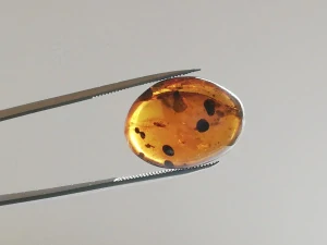 Křídový jantar B-227