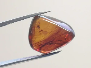 Křídový jantar B-230