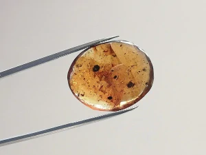 Křídový jantar B-231