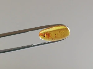 Křídový jantar B-232