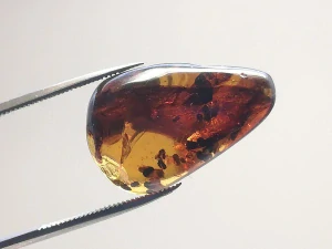 Křídový jantar B-234