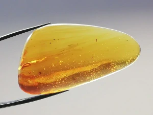 Křídový jantar B-235
