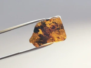 Okno do křídového jantaru BO-65