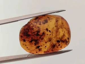 Druhohorní jantar z Myanmaru BJ-87