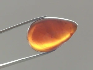 Křídový jantar B-238