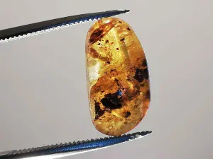 Křídový jantar B-50