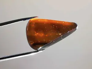 Křídový jantar B-55