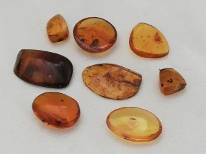  Křídový jantar SJ-9