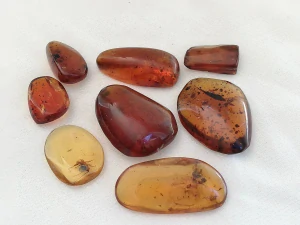  Křídový jantar SJ-14