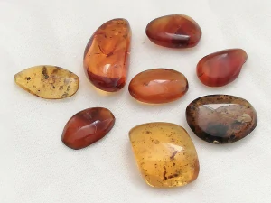  Křídový jantar SJ-19
