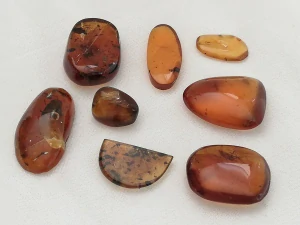  Křídový jantar SJ-20