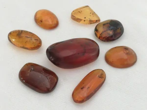  Křídový jantar SJ-25