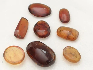  Křídový jantar SJ-30