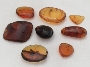  Křídový jantar SJ-31