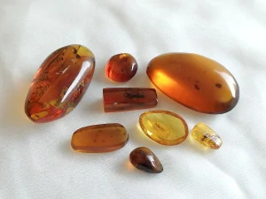  Křídový jantar SJ-32