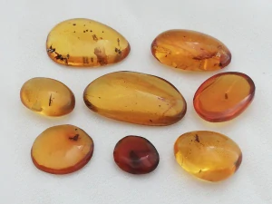  Křídový jantar SJ-33