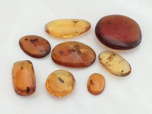  Křídový jantar SJ-38