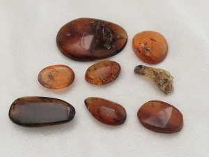 Křídový jantar SJ-43