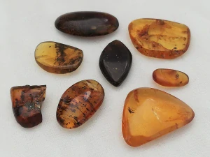  Křídový jantar SJ-44