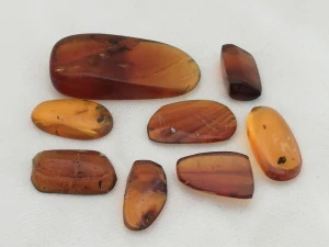  Křídový jantar SJ-46