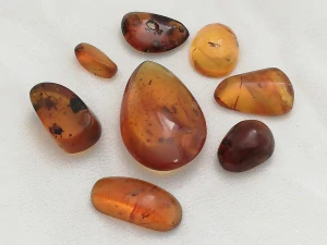  Křídový jantar SJ-54