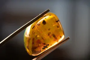 Křídový jantar B-63