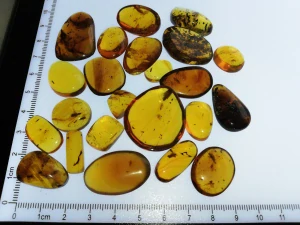  Křídový jantar SJ-68