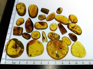  Křídový jantar SJ-77