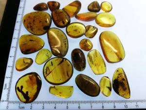  Křídový jantar SJ-84