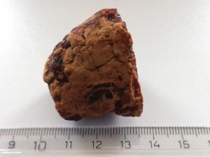   Křídový jantar BC-1