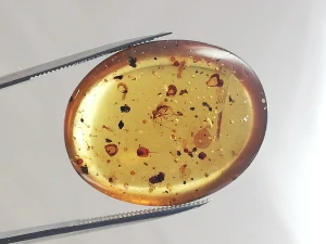 Křídový jantar B-116