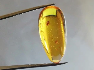 Křídový jantar B-263