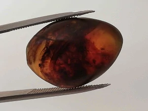 Druhohorní jantar z Myanmaru BJ-14