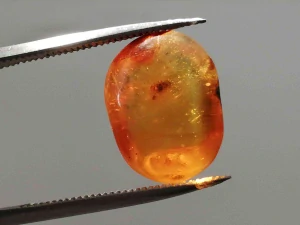 Druhohorní jantar z Myanmaru BJ-1