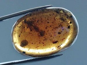 Druhohorní jantar z Myanmaru JKI-11