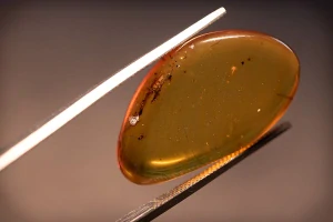 Druhohorní jantar z Myanmaru JHI-7