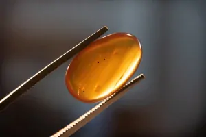 Křídový jantar B-80