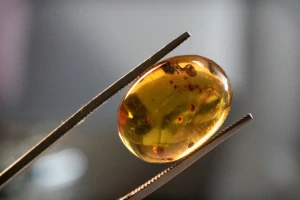 Druhohorní jantar z Myanmaru JKI-21
