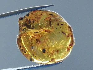 Druhohorní jantar z Myanmaru BJ-10