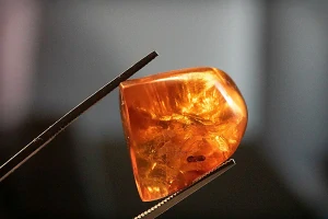Druhohorní jantar z Myanmaru JHI-3