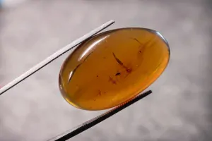 Křídový jantar B-90