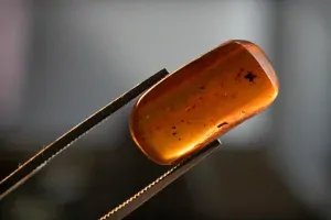 Druhohorní jantar z Myanmaru BJ-6