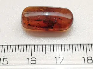 Křídový jantar B-92