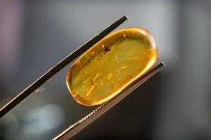 Křídový jantar B-93