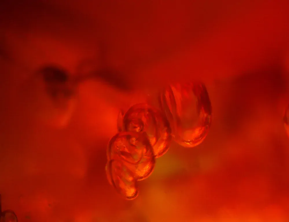 Okno do rovenského jantaru UO-3