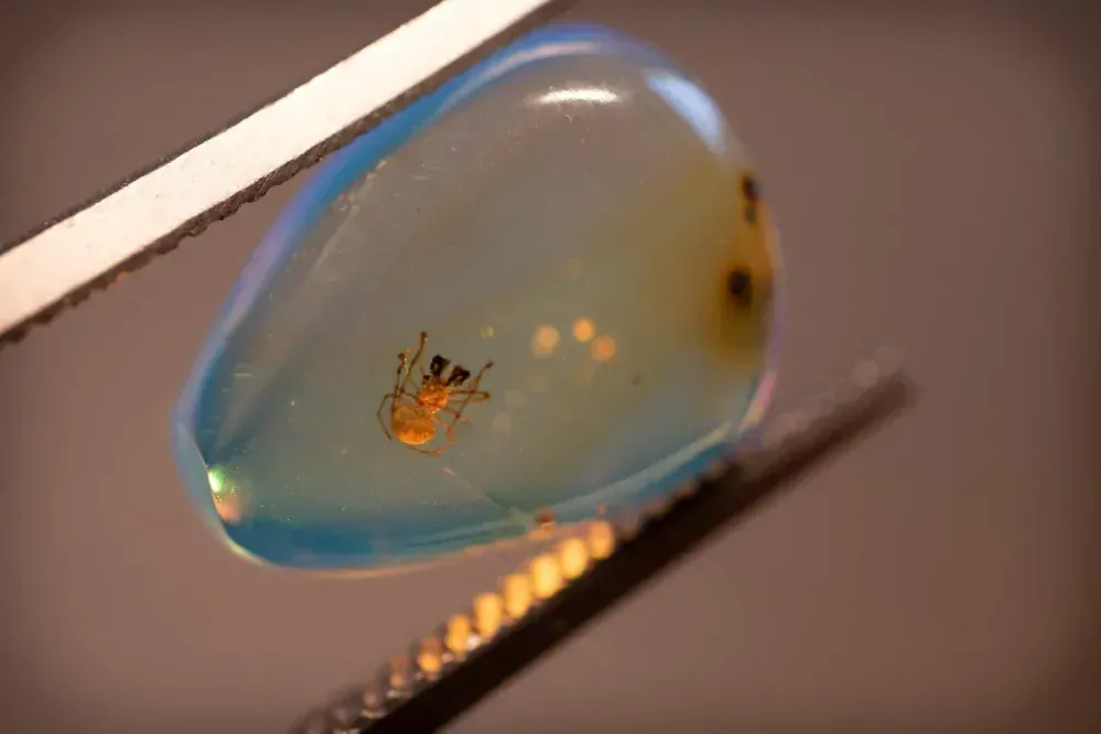 Křídový jantar B-122