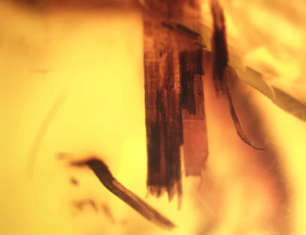 Okno do křídového jantaru BO-10