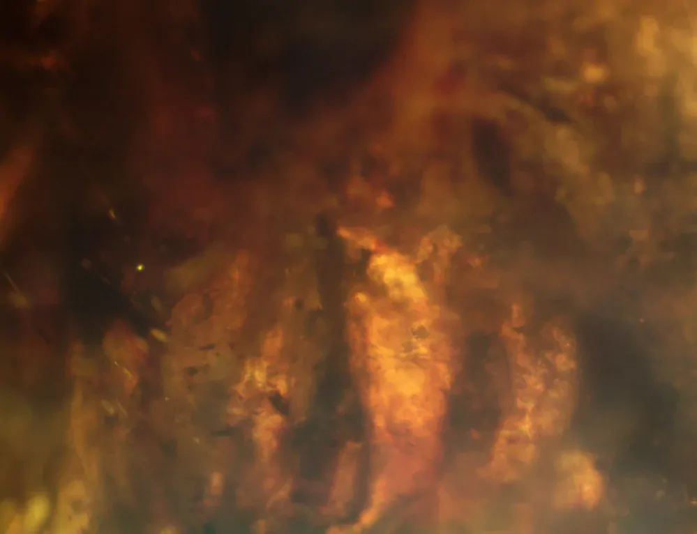 Okno do křídového jantaru BO-20