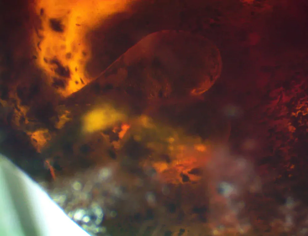 Okno do křídového jantaru BO-30