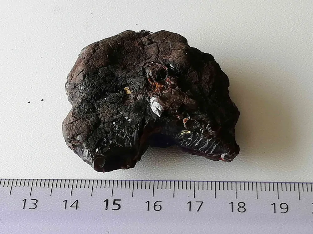 Křídový jantar BC-2